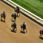 Horse Racing Gambling